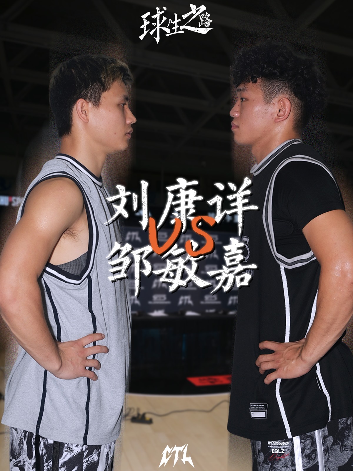 两虎相争作品封面